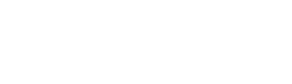 Desert Bird