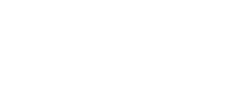 Desert Bird